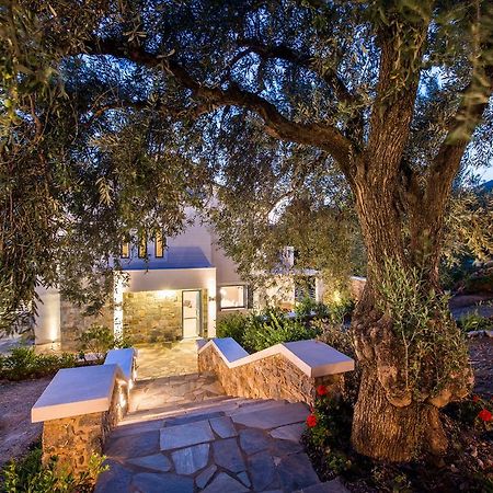 Villa Idealia Panormos  Ngoại thất bức ảnh